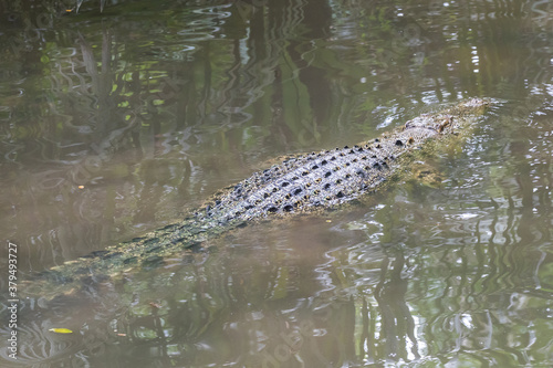 Taiping lake district and Zoo