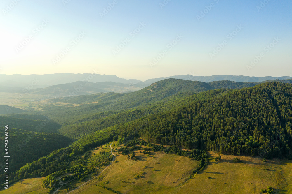 Beautiful landscape coniferous forest on the peaks of the Rhodope Mountains, Bulgaria. Travel and vacation concept.