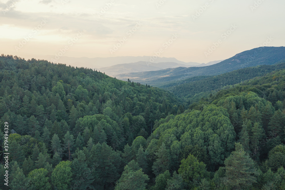 Beautiful landscape, the rising sun illuminated the slopes of the Rhodope Mountains covered in coniferous forest. Sunrise in the mountains. Travel and Vacation Concept in Bulgaria
