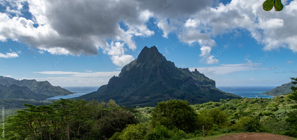 Fototapeta premium reste du volcan