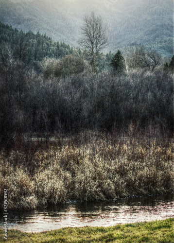 misty morning in the mountains along the river