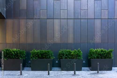 Foto Big gray, metal planters with foliage plants nd terrace design with a modern mix