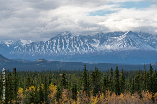 Stunning Haines Junction located in the northern Yukon Territory, Canada. Taken in the autumn with stunning yellow fall colored and snow capped mountains. 