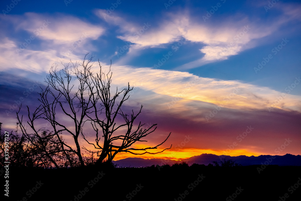 clouds and tree at sunset