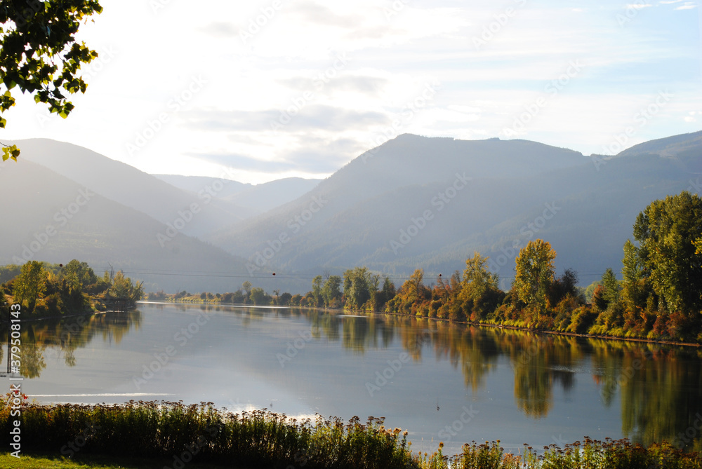 Obraz premium trees along river