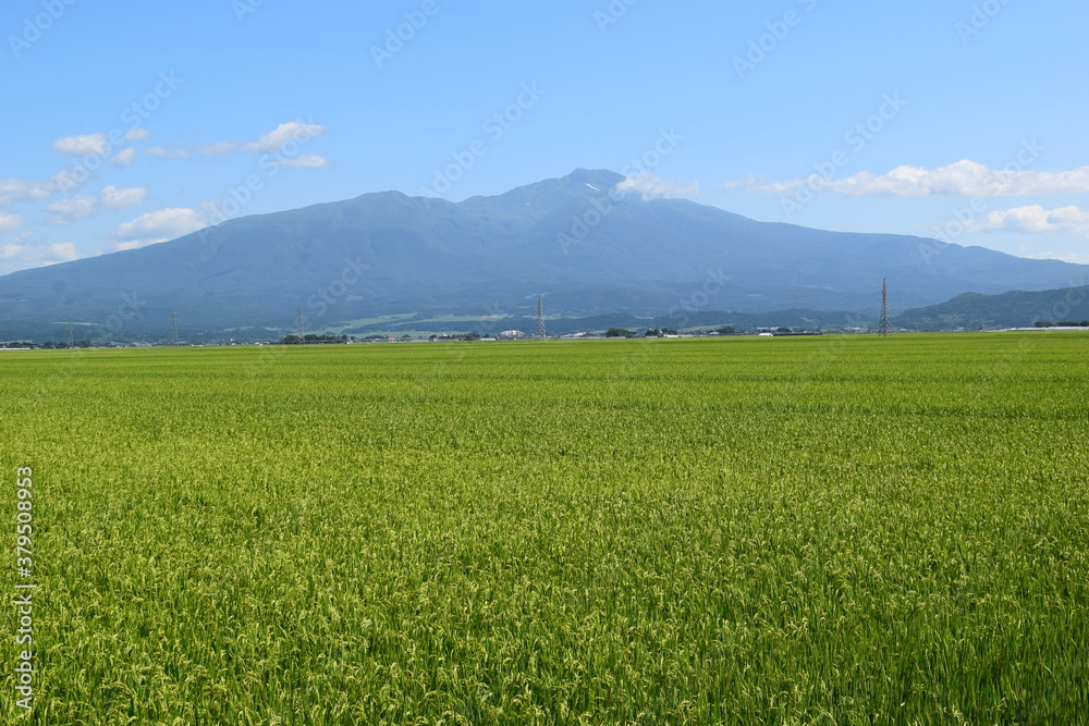 鳥海山（出羽富士）／ 山形県の最高峰、標高2,236mの鳥海山（ちょうかいさん）は、日本百名山、日本百景、日本の地質百選に選定されている活火山で、山頂に雪が積もった姿が富士山にそっくりなため、出羽富士（でわふじ）と呼ばれ親しまれています。