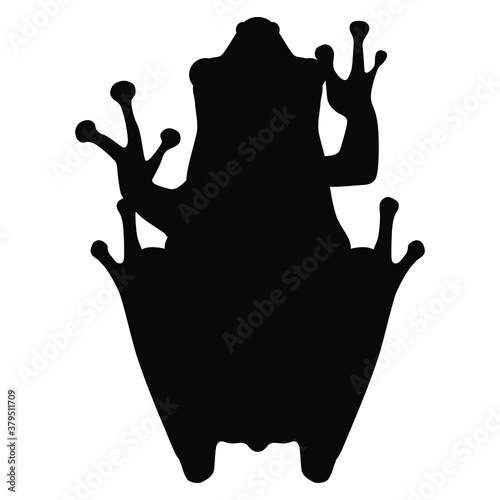 Silhouette of tropical frog. Top view. Poison dart frog.