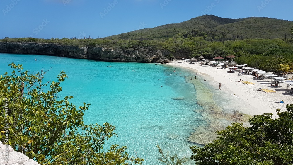 Fototapeta premium view of the sea and mountains