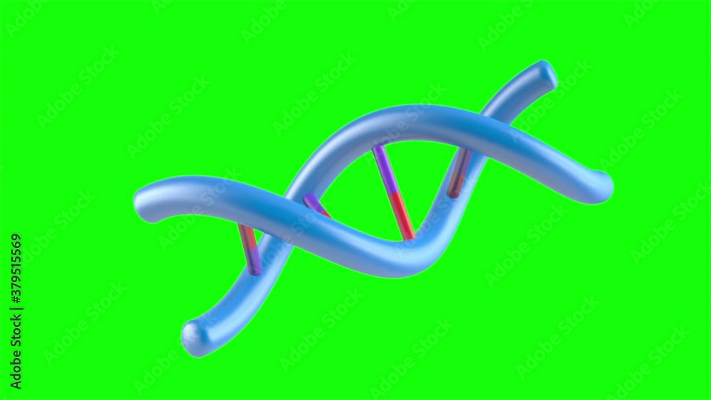 DNA 3D colores amigables. Pequeña cadena de ADN lista para postproducción.