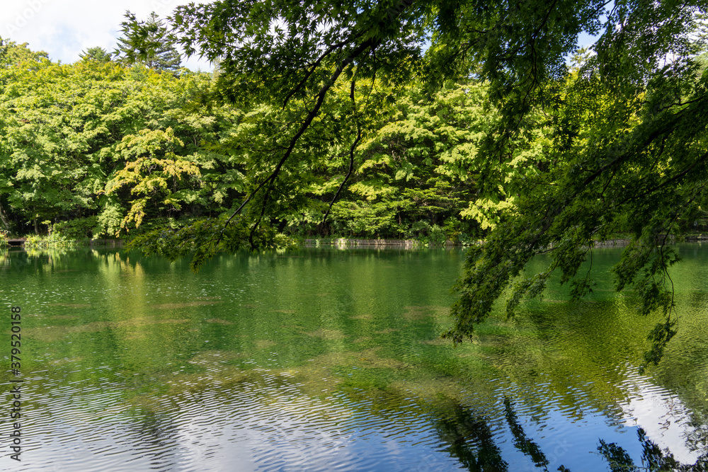 軽井沢雲場池を散策