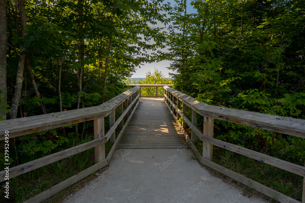 A wood trail in summer forest atPictured Rock National Lakeshore Michigan