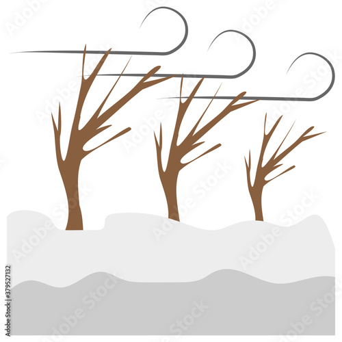 Windstorm 