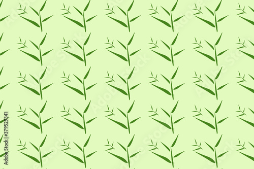 Fototapeta Naklejka Na Ścianę i Meble -  unique bamboo leaf pattern design, perfect if you use it for backgrounds and wallpapers