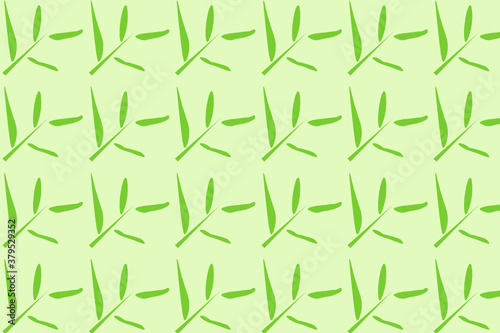 Fototapeta Naklejka Na Ścianę i Meble -  unique bamboo leaf pattern design, perfect if you use it for backgrounds and wallpapers