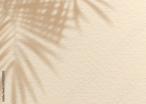 Fototapeta Naklejka Na Ścianę i Meble -  Brown cream clay mud grunge cement texture wall leaf plant shadow background.Summer tropical travel beach with minimal concept. Flat lay palm nature.