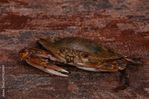 Raw crab - ready for cooking