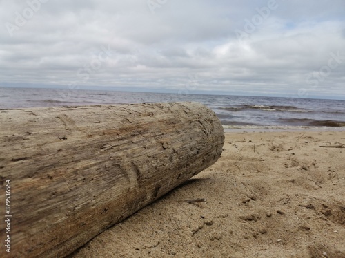 beach in the country © Григорий Темнов