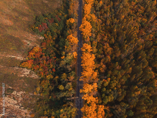 Aerial view of road in beau...