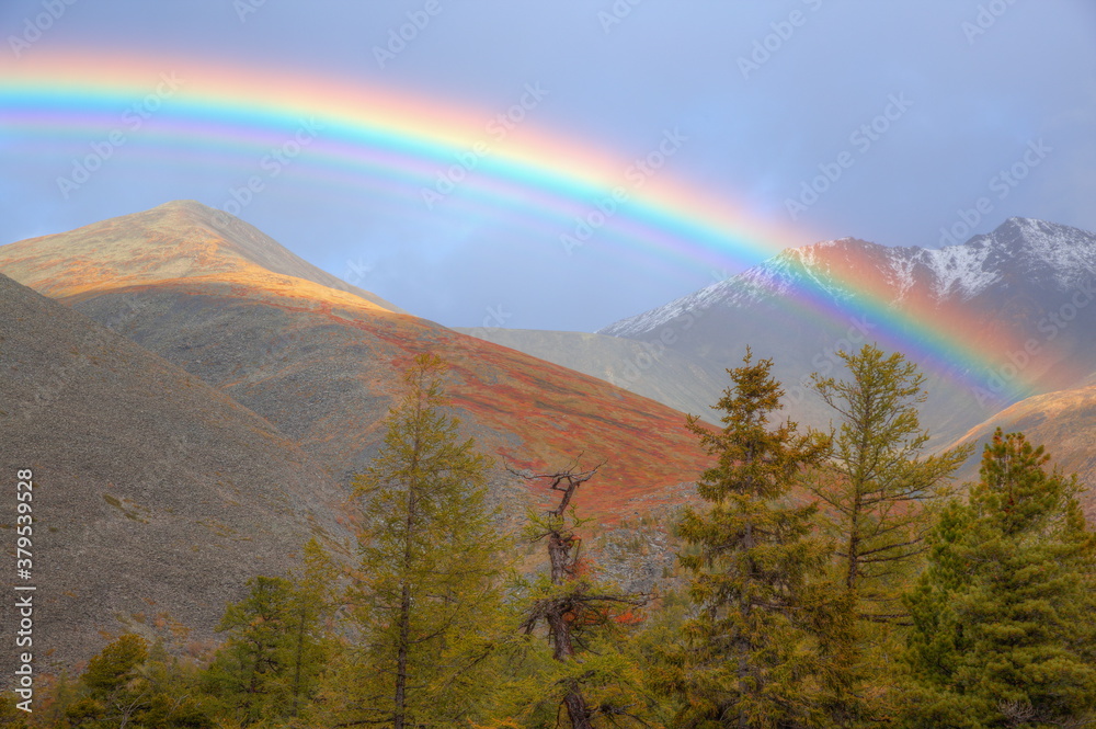 Beautiful rainbow over the mountains. Natural background. Soft focus. Selective focusing.