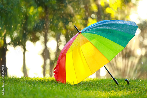 Rainbow umbrella on green grass in park