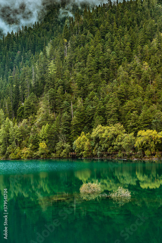 The beautiful turquoise water in ,lakes with forest in Jiuzhai Valley, in Sichuan, China, summer time.