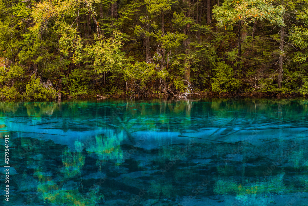 The beautiful turquoise water in ,lakes with forest in Jiuzhai Valley, in Sichuan, China, summer time. The beautiful turquoise water in ,lakes with forest in Jiuzhai Valley, in Sichuan, China, summer time.