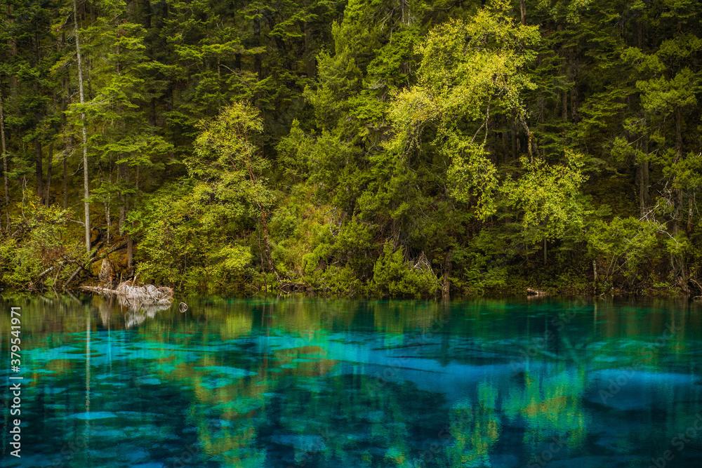 The beautiful turquoise water in ,lakes with forest in Jiuzhai Valley, in Sichuan, China, summer time. The beautiful turquoise water in ,lakes with forest in Jiuzhai Valley, in Sichuan, China, summer time.