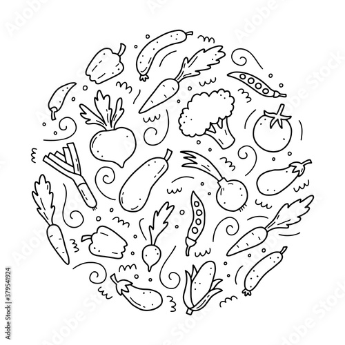 Hand drawn set of vegetable elements  carrot  salad  tomato  onion  lettuce  chili. Comic doodle sketch style. Vegetables element drawn by digital brush-pen. Vector illustration for icon  menu  frame