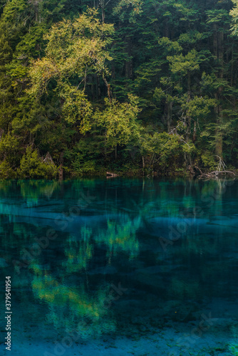 The beautiful turquoise water in ,lakes with forest in Jiuzhai Valley, in Sichuan, China, summer time. © Zimu