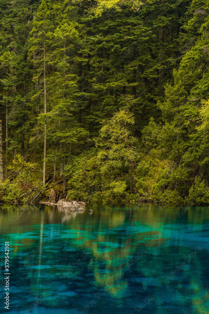 The beautiful turquoise water in ,lakes with forest in Jiuzhai Valley, in Sichuan, China, summer time. The beautiful turquoise water in ,lakes with forest in Jiuzhai Valley, in Sichuan, China, summer time.