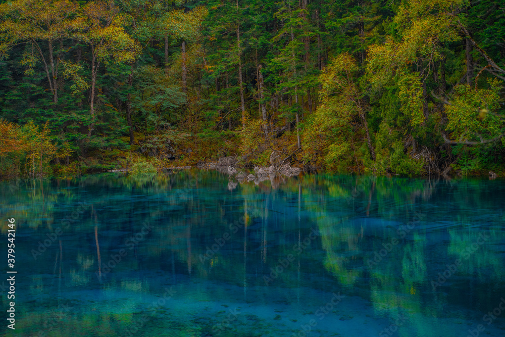 The beautiful turquoise water in ,lakes with forest in Jiuzhai Valley, in Sichuan, China, summer time. The beautiful turquoise water in ,lakes with forest in Jiuzhai Valley, in Sichuan, China, summer time.