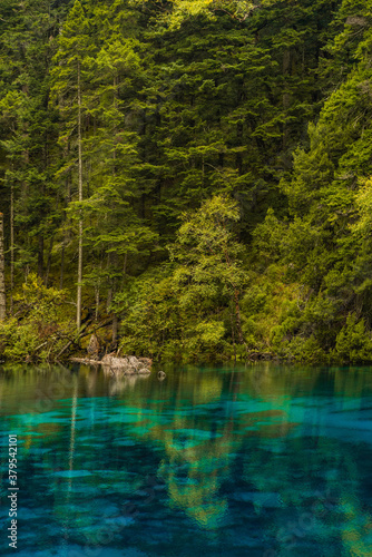 The beautiful turquoise water in  lakes with forest in Jiuzhai Valley  in Sichuan  China  summer time.