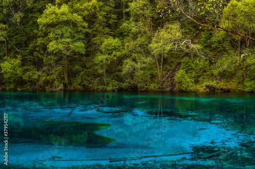The beautiful turquoise water in ,lakes with forest in Jiuzhai Valley, in Sichuan, China, summer time. © Zimu