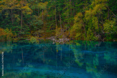 Fototapeta Naklejka Na Ścianę i Meble -  The beautiful turquoise water in ,lakes with forest in Jiuzhai Valley, in Sichuan, China, summer time.