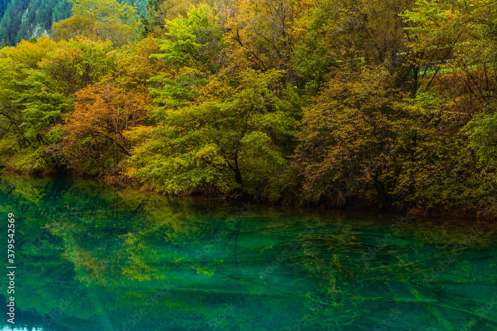 The beautiful turquoise water in ,lakes with forest in Jiuzhai Valley, in Sichuan, China, summer time. The beautiful turquoise water in ,lakes with forest in Jiuzhai Valley, in Sichuan, China, summer time.