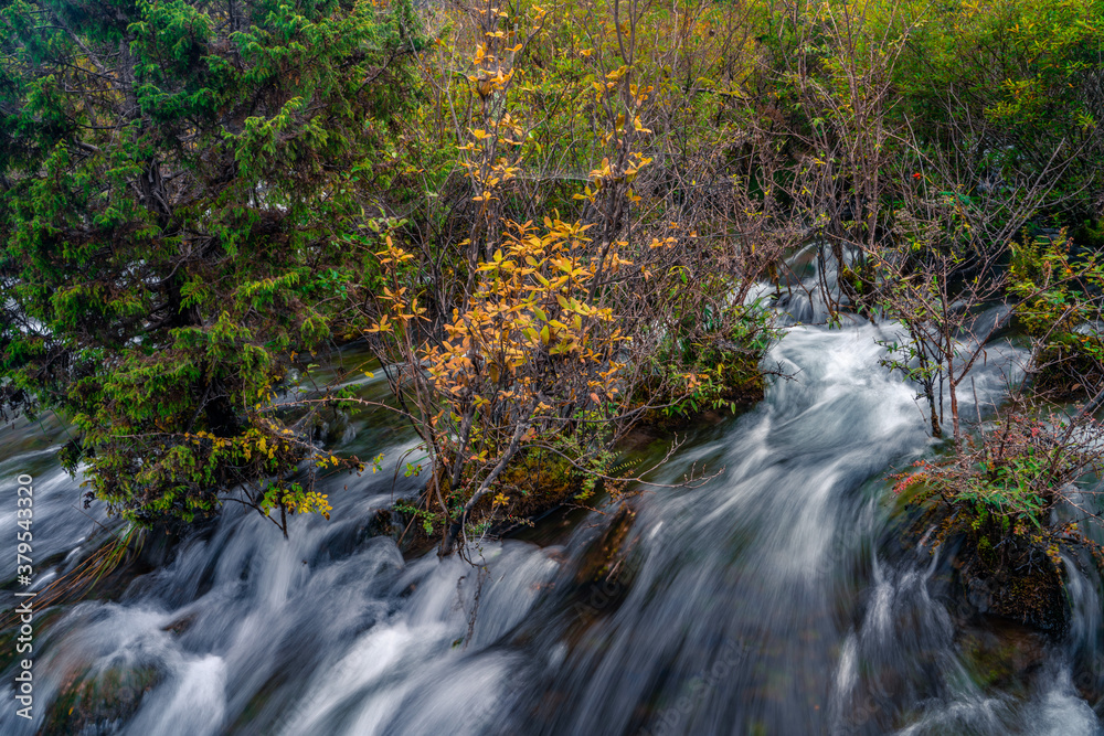 The small waterfalls at pearl beach, in Jiuzhai Valley Park, Sichuan, China. The small waterfalls at pearl beach, in Jiuzhai Valley Park, Sichuan, China.