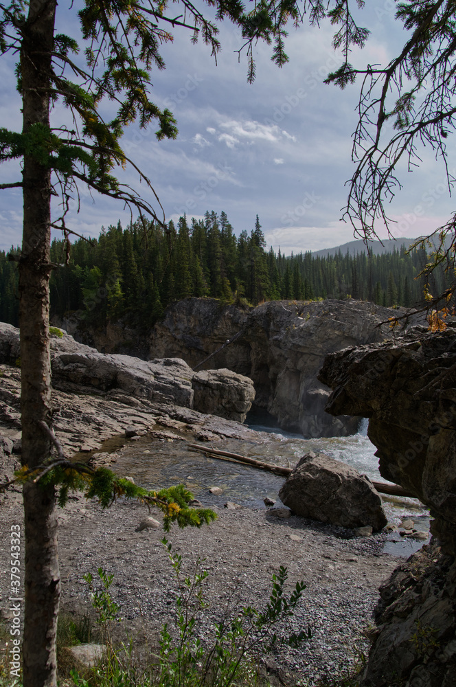 Elbow Falls on a Summer Day