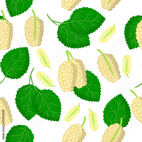 Vector cartoon seamless pattern with Morus alba or mulberries exotic fruits, flowers and leafs on white background