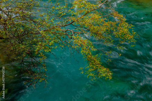 Fototapeta Naklejka Na Ścianę i Meble -  The turquoise streams and waterfalls in Jiuzhai Valley, Sichuan, China.