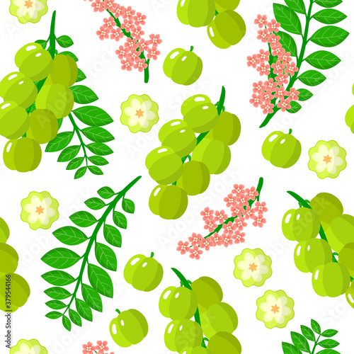 Vector cartoon seamless pattern with Antilles Gooseberry exotic fruits, flowers and leafs on white background