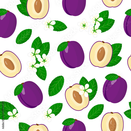 Vector cartoon seamless pattern with Prunus domestica or purple Plum exotic fruits, flowers and leaf on white background