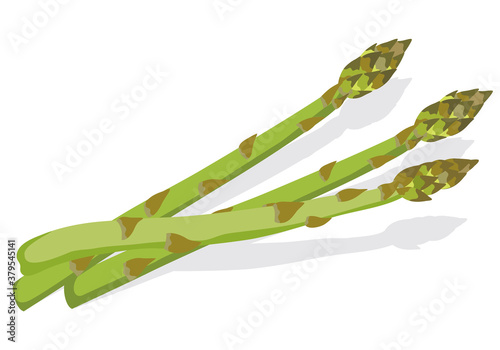 野菜_ アスパラガス