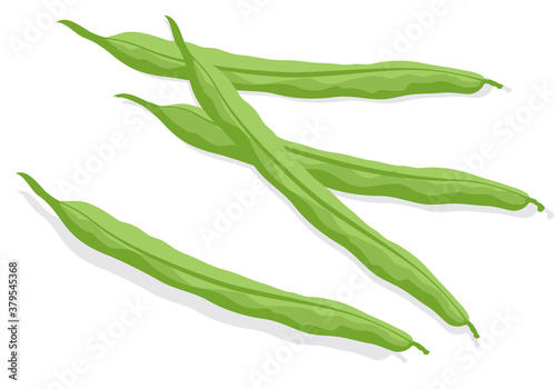 野菜_ インゲン豆・さんどまめ
