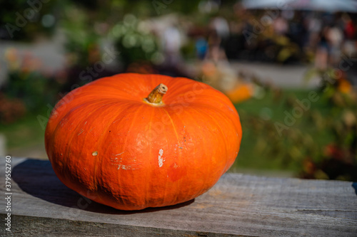 A closeup shot of an orange pumpkin