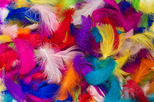 Colorful feather background. © Nikolay