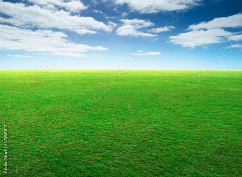 Natural green grass field and blue sky