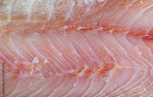 Close up view of fresh raw fillet of sea perch fish, ingredients for cooking