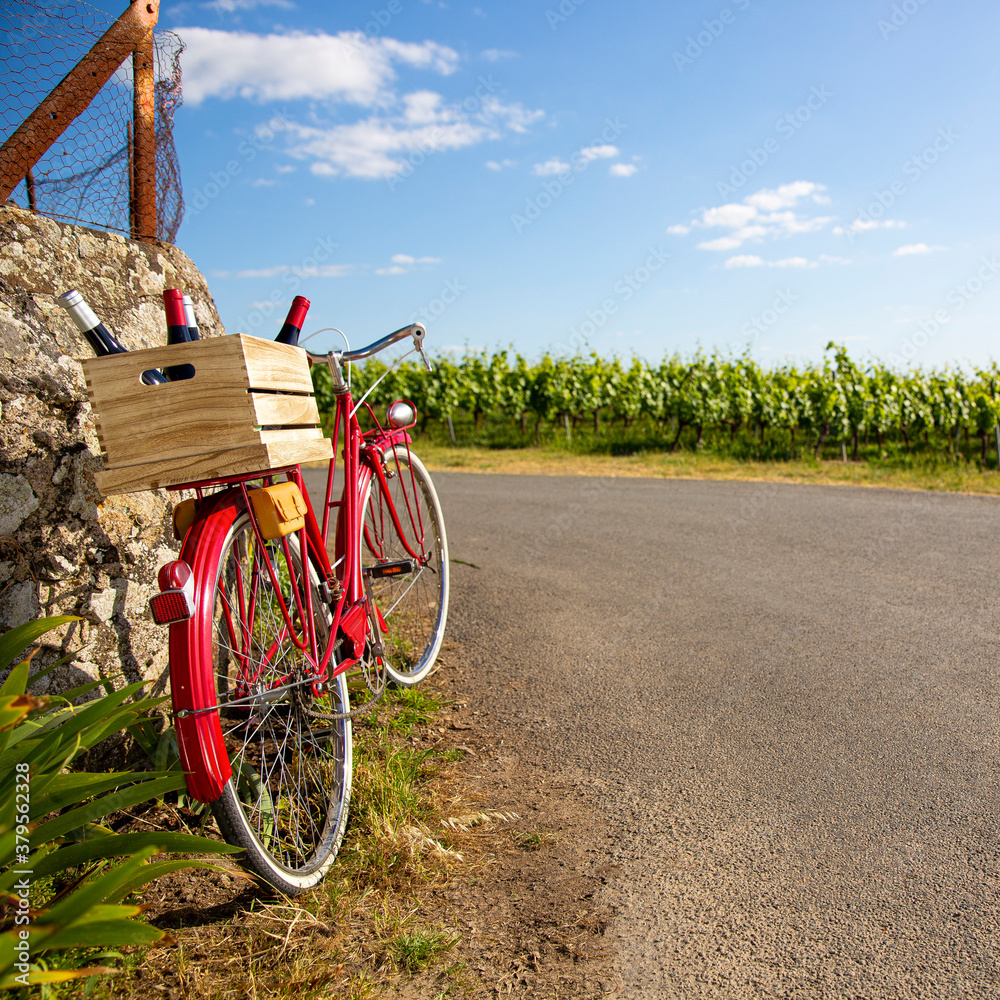 Vieux vélo en bord de route dans les vignoble de l'Anjou.