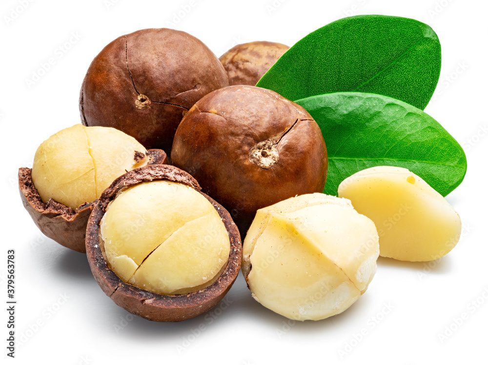 Macadamia nuts with peeled macadamia and leaves isolated on a white background.