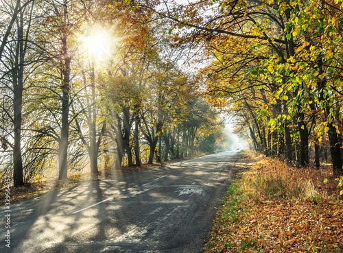 Beautiful autumn landscape with the road and the sun s rays of the setting sun.